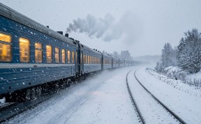 Общество