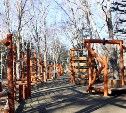 Полосу препятствий в парке Южно-Сахалинска закроют на зиму