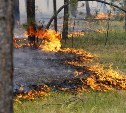 В лесах Смирных и Охи сохраняется высокая опасность пожаров