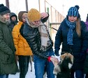 Корм для животных передали сахалинские добровольцы в приют «Кот и пёс»