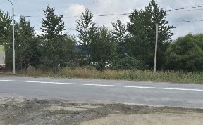 Общество