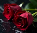 На Сахалине водитель компании "СУ-4" внезапно умер во время ремонта машины