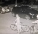 Юных похитителей велосипеда ищет полиция Южно-Сахалинска