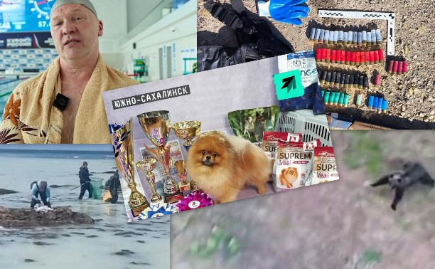 Пьяный неадекват-убийца, "летающий" медведь и смерть шпица-рекордсмена - каким был май 2024 года на Сахалине