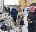  В Южно-Сахалинске определили дополнительные места продажи свежей наваги