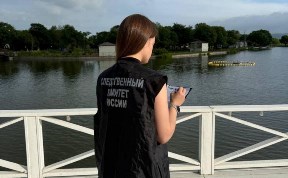 Происшествия