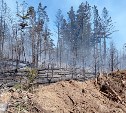 Пожар в Корсаковском районе локализован