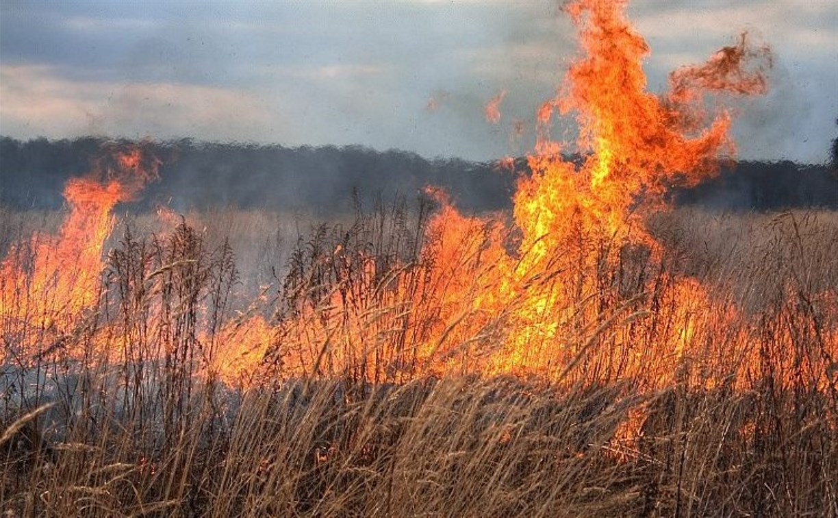 Около 700 квадратов сухой травы выгорело в Вахрушеве 