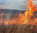 Около 700 квадратов сухой травы выгорело в Вахрушеве 