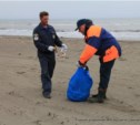 Всероссийская акция «Чистый берег» прошла в Сахалинской области (ФОТО)