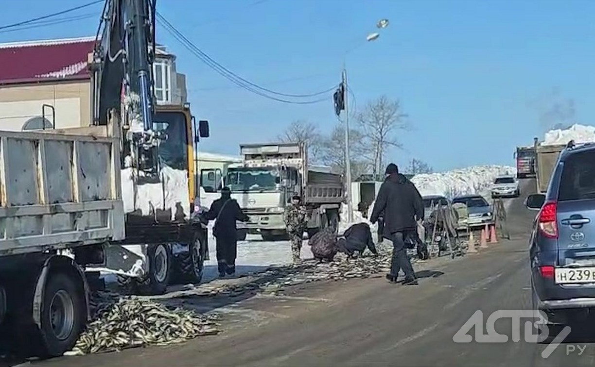 "Трали-вали, мы навагу потеряли": грузовик растерял рыбу на дороге в Долинске
