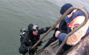 Общество