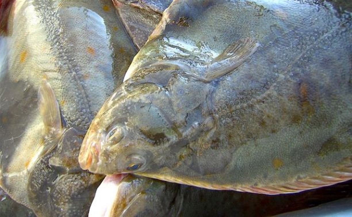 Судно со свежей рыбой не могут разгрузить на Сахалине из-за циклона