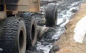 Общество