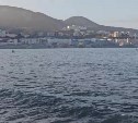Тело утонувшего в Холмске ребенка до сих пор не вытащили на берег - в море вышли лодки