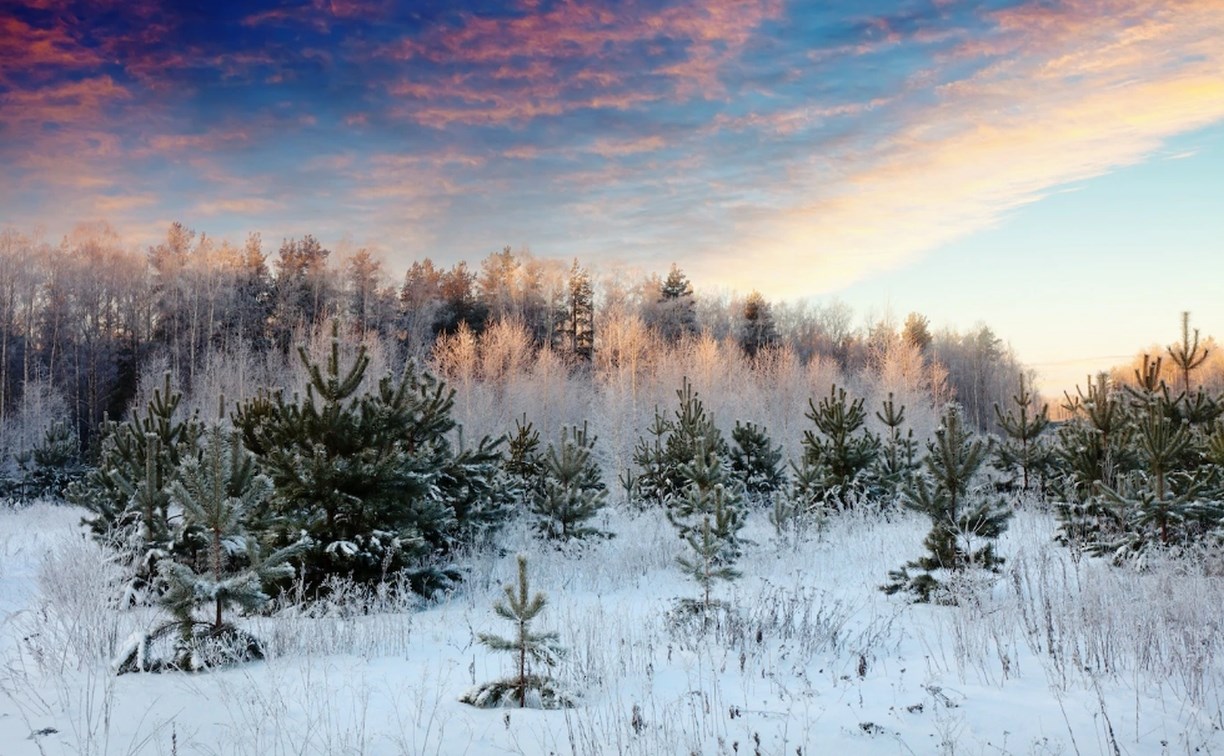 Кому снег, кому солнце: прогноз погоды на 27 января для всех районов Сахалинской области