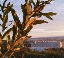 Ясно или облачно: прогноз погоды в Сахалинской области на 16 сентября