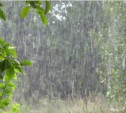 Все праздничные и выходные дни на Сахалине будут идти дожди 