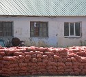 Господдержка помогла сахалинской семейной ферме нарастить объем производства