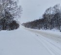 Метель и очень сильный снег на Сахалине продолжатся: синоптики уточнили прогноз на 9 января