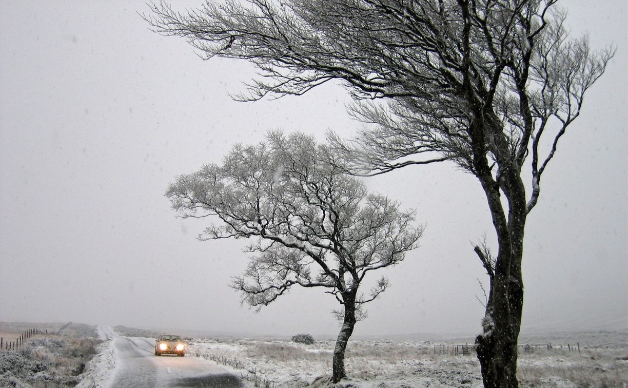 Сильный снег и ветер: уточнённый прогноз для Сахалина и Курил на 7 марта