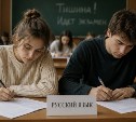 В российских вузах появится курс "Русский язык как государственный"