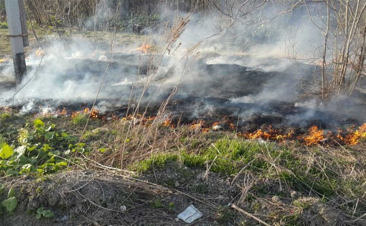 Сотни "квадратов" сухой травы тушили сахалинские пожарные 14 мая