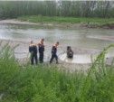 Операцию по спасению коровы пришлось проводить спасателям в Южно-Сахалинске (ФОТО, ВИДЕО)