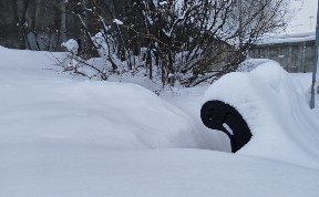 Общество