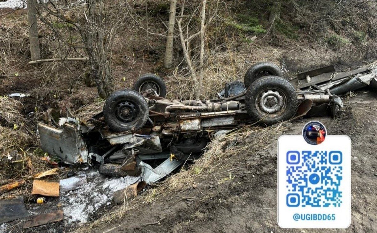 "Пострадал водитель": "Буханка" вылетела с дороги и опрокинулась в Углегорском районе 