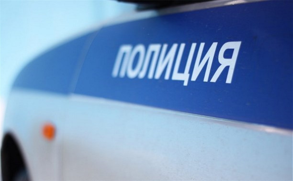 Похитителя видеокамер "Платон" в районе Пятиречья задержала полиция Холмска