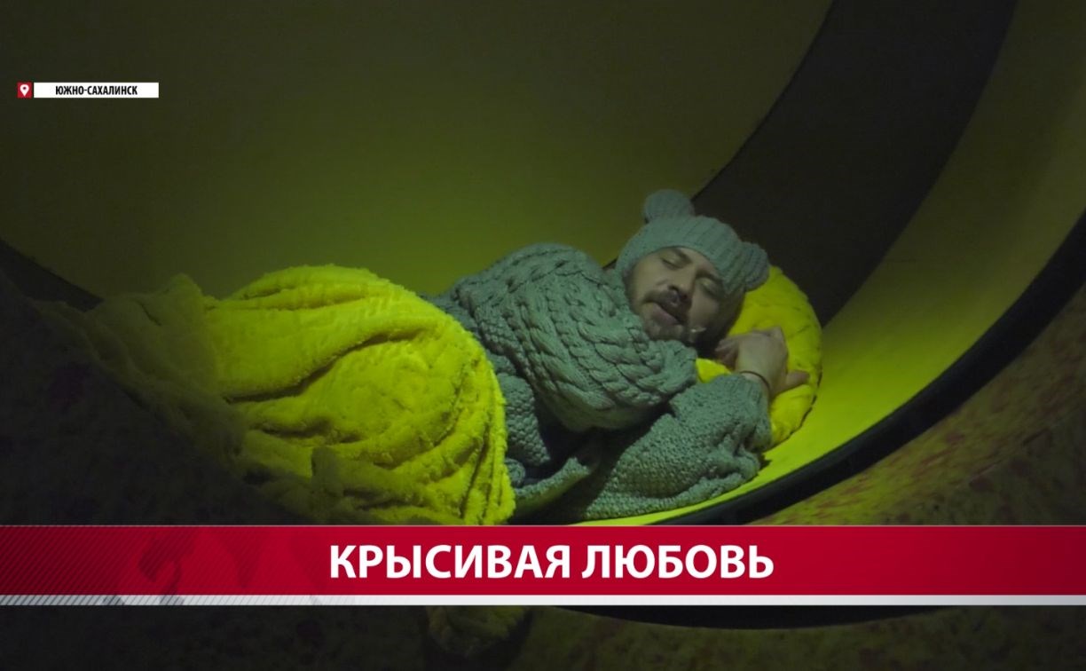 "У нас сыром пропитана вся эта история": Чехов-центр представил постановку о трагической любви мышей