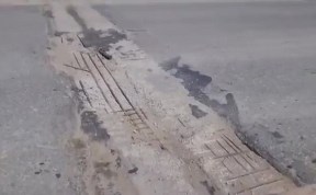 Общество