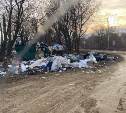 "Ждём медведей и крыс на запах": южносахалинцы больше месяца наблюдают, как растёт свалка