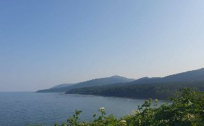 Происшествия