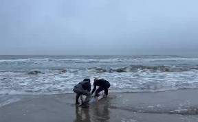 Происшествия