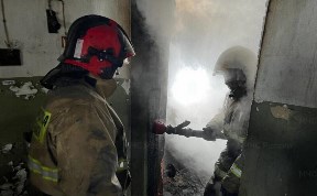 Происшествия