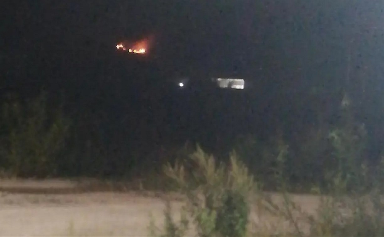 Лес горел на окраине Анивы