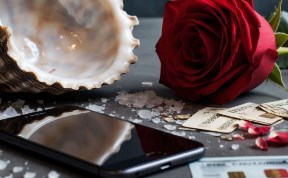 Происшествия