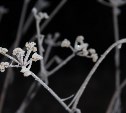Пасмурно и холодно: какая погода ждёт районы Сахалинской области 29 апреля