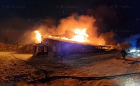 Происшествия