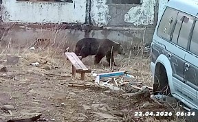 Происшествия