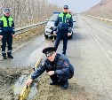 На Сахалине ямы на трассе измерили "дорожной рейкой"