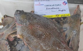 Общество