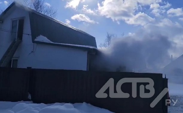Кошки погибли во время пожара в двухэтажном доме в Южно-Сахалинске