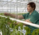 Сахалинские сельскохозяйственные проекты получат федеральную поддержку 