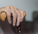 Жительница Углегорска прикарманила кошелёк 88-летней бабушки с большой суммой денег