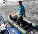 Спасая собаку, мужчина застрял во льдах посреди водохранилища