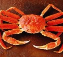 Доли квот на вылов краба в сахалинских морских подзонах выставили на торги