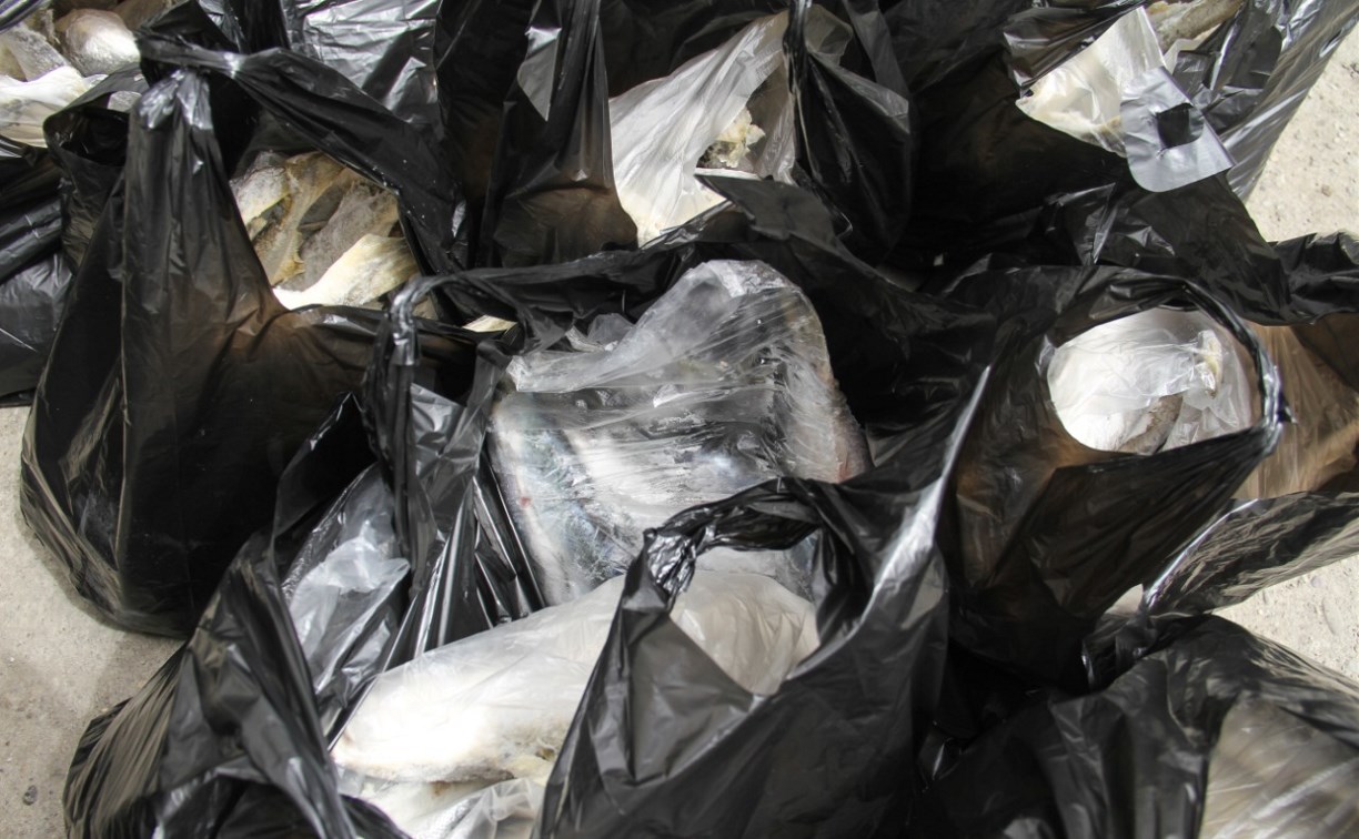Больше 200 килограммов рыбы бесплатно раздал ветеранам корсаковский предприниматель